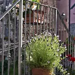 Tra I Monti E San Martino