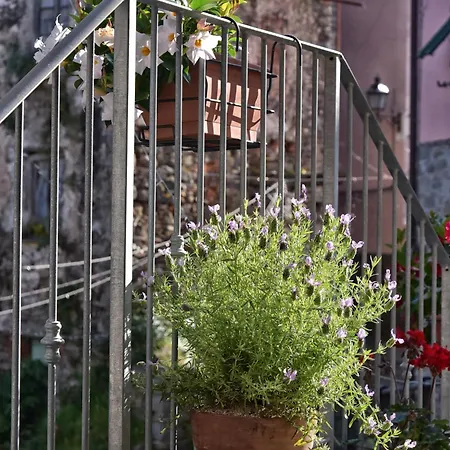 Tra I Monti E San Martino